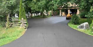 Best Driveway Pressure Washing  in Oak Grove, AL